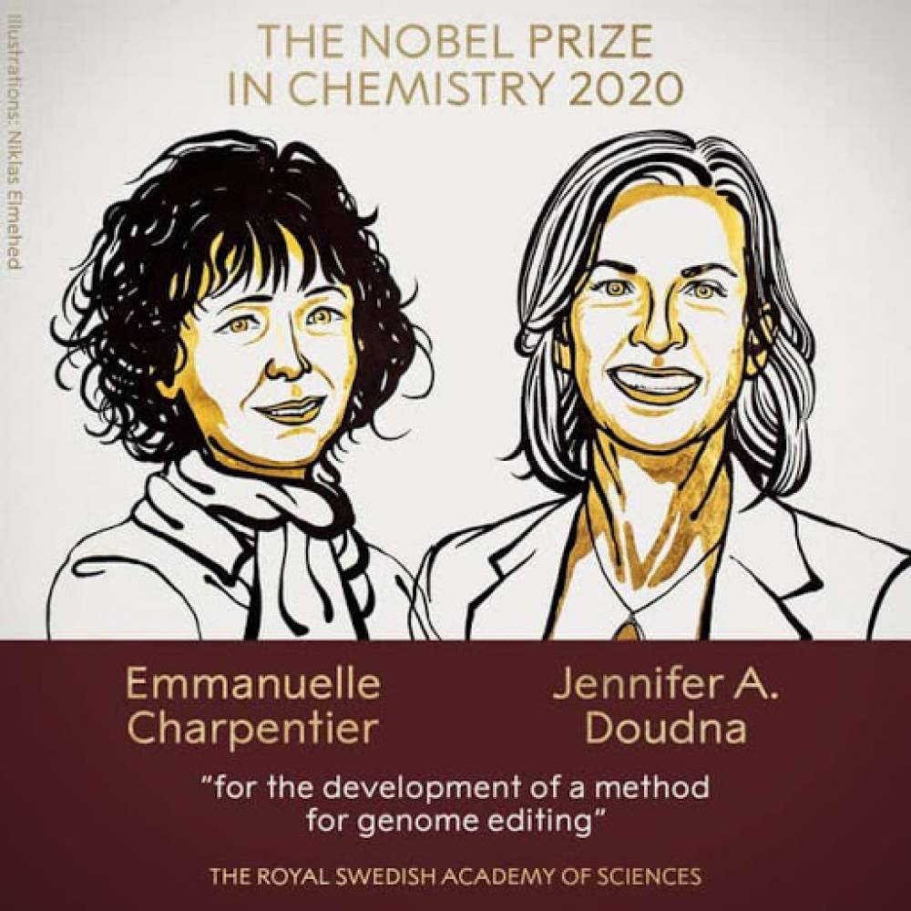 2020 Nobel Kimya Ödülü DNA kurgulama yönetimini geliştiren 2 bilim insanına verildi.